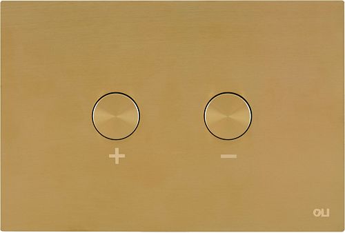 DUWPLT 2-TOETS BLINK PNEUMATISCH BR.GOL.