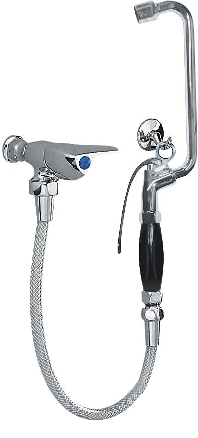 ANAL SPRAY RVB  CHR GROOT PI.FAC