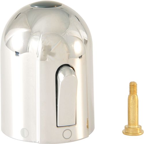 DEBIETGREEP CERATHERM 100 OUD IS CHROOM