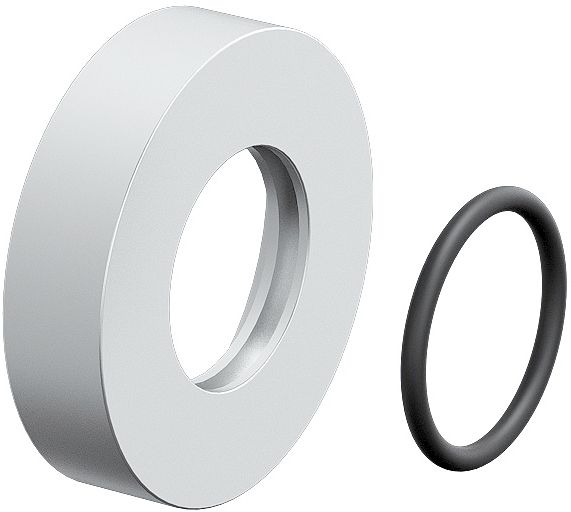 MUURROZET VOOR MINISUK CLOU INOX-GEBORS.
