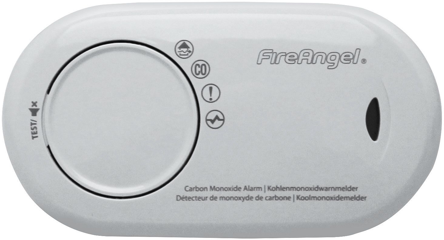 CO-DETECTOR 10 JAAR MET BATTERIJ