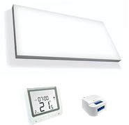 IR VERWARMING RAIO1 900W+TEHRMOST.T1